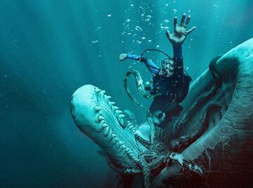 Test Whalefall