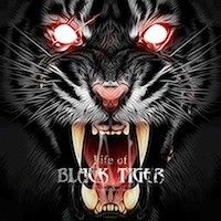 Test Life Of Black Tiger 