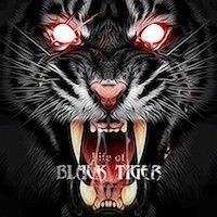 Test Life Of Black Tiger Test Life Of Black Tiger