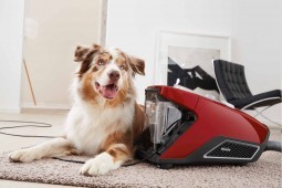 Test Miele Blizzard CX1 Cat & Dog