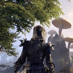 Test The Elder Scrolls Online : Morrowind