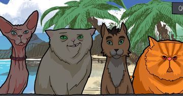 Test Purrfect Date