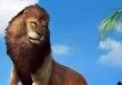 Zoo Tycoon test par GameHope Zoo Tycoon test par GameHope