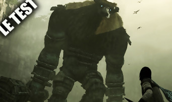 Test Shadow of the Colossus 
