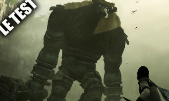 Anlisis Shadow of the Colossus 