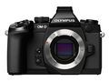 Olympus OM-D E-M1 Review