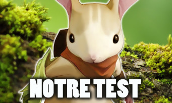 Moss test par JeuxActu.com