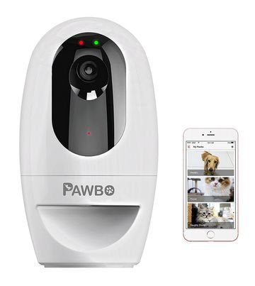 Pawbo Plus im Test: 1 Bewertungen, erfahrungen, Pro und Contra