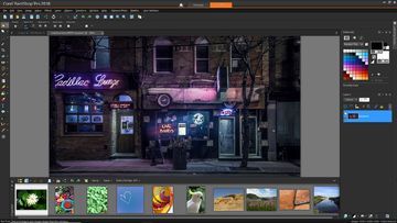 Corel PaintShop Pro 2018 Ultimate Review: 1 Ratings, Pros and Cons