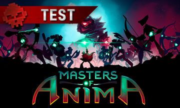 Test Masters of Anima