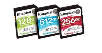 Test Kingston Canvas React