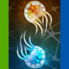 Semispheres test par VideoChums Semispheres test par VideoChums