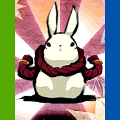 Ninja Usagimaru testé par VideoChums Ninja Usagimaru testé par VideoChums