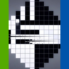 Inversus test par VideoChums