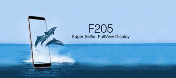 Test Gionee F205