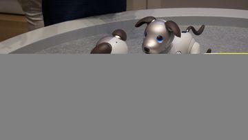 Test Sony Aibo