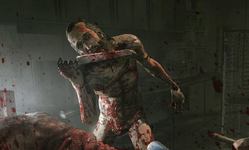 Outlast Whistleblower Review: 3 Ratings, Pros and Cons