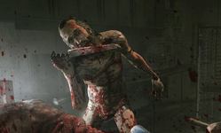 Test Outlast Whistleblower