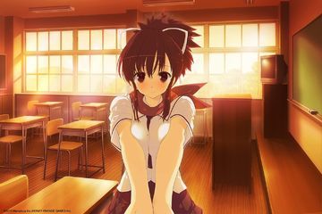 Test Senran Kagura Reflexions