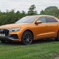 Audi Q8 im Test: 8 Bewertungen, erfahrungen, Pro und Contra