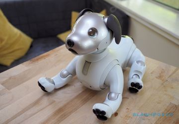 Test Sony Aibo