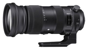 Sigma 60-600mm Review: 7 Ratings, Pros and Cons