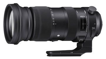 Sigma 60-600mm im Test: 7 Bewertungen, erfahrungen, Pro und Contra