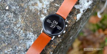 Skagen Falster 2 Review