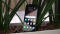 Honor Play test par Chip.de Honor Play test par Chip.de