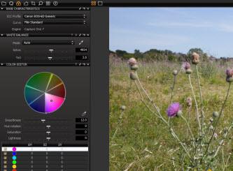 Capture One One Express 7 im Test: 1 Bewertungen, erfahrungen, Pro und Contra Capture One One Express 7 im Test: 1 Bewertungen, erfahrungen, Pro und Contra
