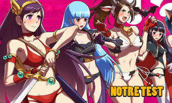 Test SNK Heroines Test SNK Heroines