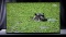 Sony KD-65AF9 test par Chip.de Sony KD-65AF9 test par Chip.de