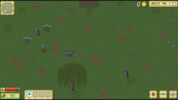 Test Cattails Test Cattails