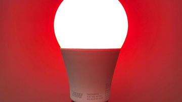 Test Feit Electric Test Feit Electric