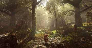 Ghost of a Tale test par wccftech