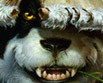 Anlisis World of Warcraft Mists of Pandaria
