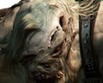 Resident Evil 6 im Test: 15 Bewertungen, erfahrungen, Pro und Contra