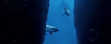 Submersed test par TheSixthAxis Submersed test par TheSixthAxis