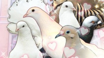 Hatoful Boyfriend test par GameBlog.fr