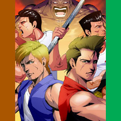 Double Dragon Brawler Bundle test par VideoChums