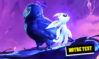 Ori and the Will of the Wisps test par JeuxActu.com Ori and the Will of the Wisps test par JeuxActu.com