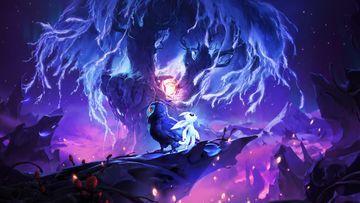 Ori and the Will of the Wisps test par SuccesOne