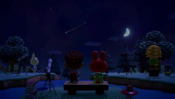 Test Animal Crossing New Horizons