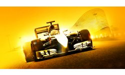 F1 2014 test par GamerGen