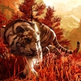 Test Far Cry 4