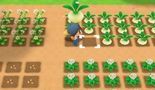 Test Story of Seasons Friends of Mineral Town