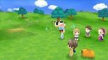 Test Story of Seasons Friends of Mineral Town