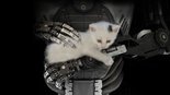 Test The Talos Principle