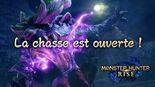 Test Monster Hunter Rise