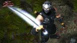 Test Ninja Gaiden Master Collection